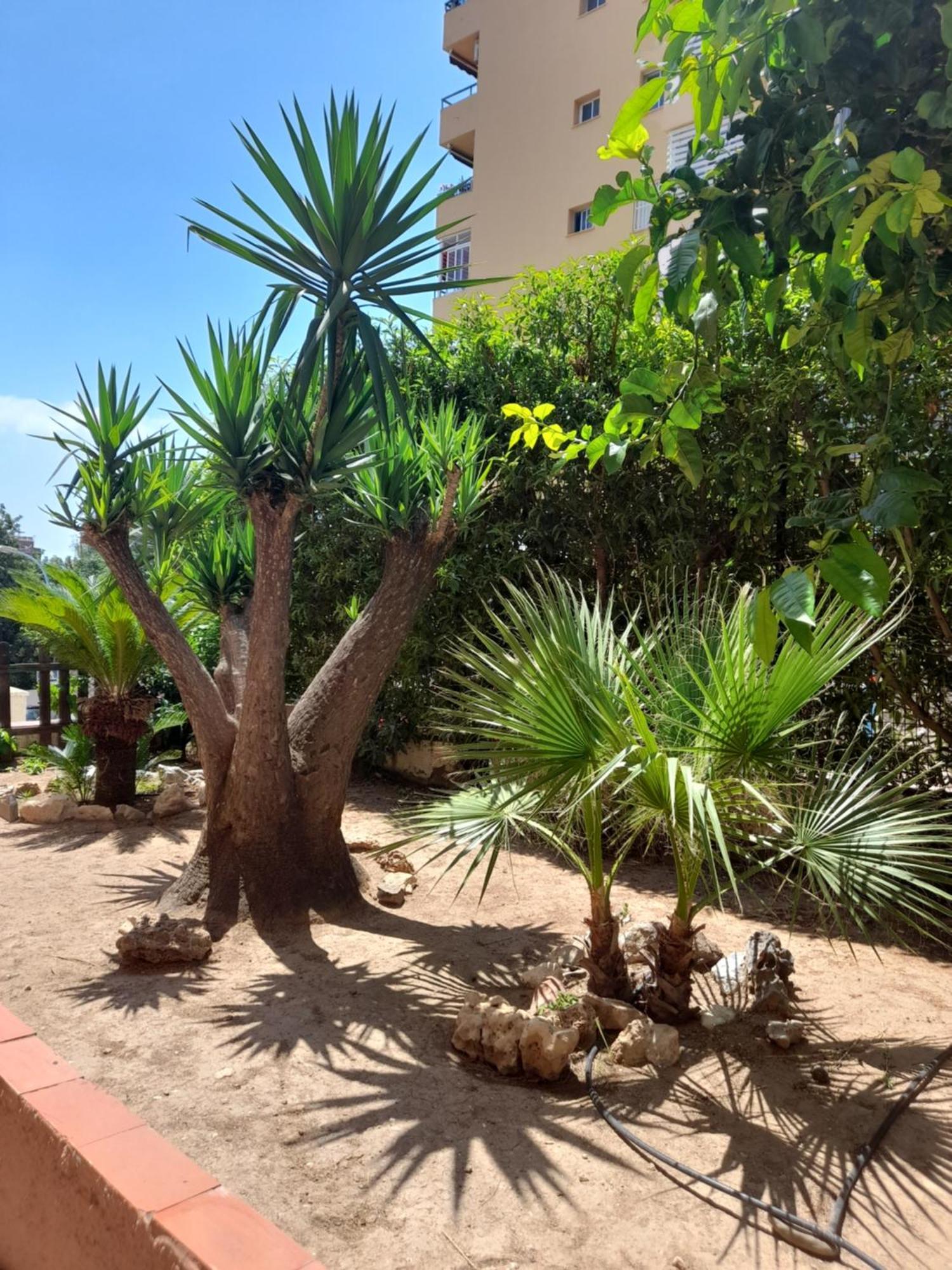 Torremolinos Centro Beach Apartment Exterior photo